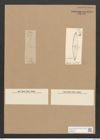 Diatomeae indet. Zeichnungen Sammlung Grunow Nr. 1818 (NHMW-BOT-W0368736)